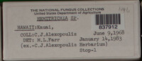 Image Associated With the Occurence